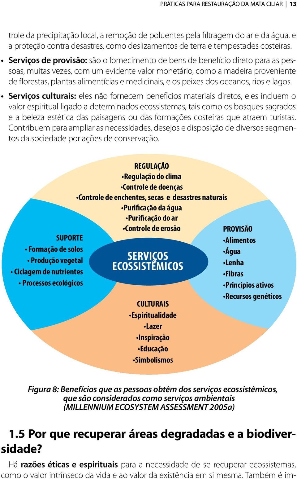 Serviços de provisão: são o fornecimento de bens de benefício direto para as pessoas, muitas vezes, com um evidente valor monetário, como a madeira proveniente de florestas, plantas alimentícias e