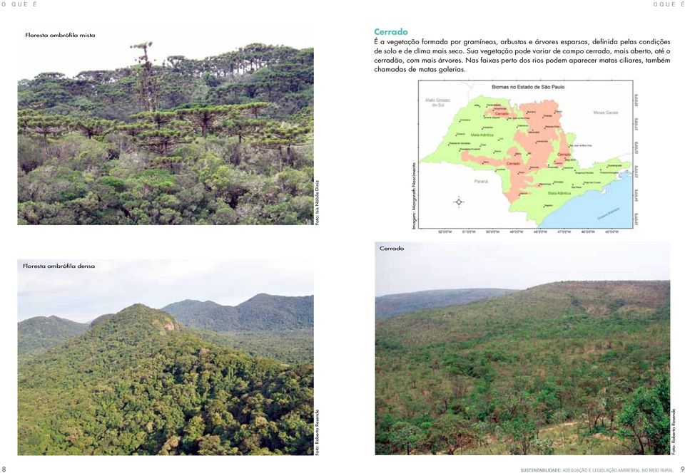 Sua vegetação pode variar de campo cerrado, mais aberto, até o cerradão, com mais árvores.