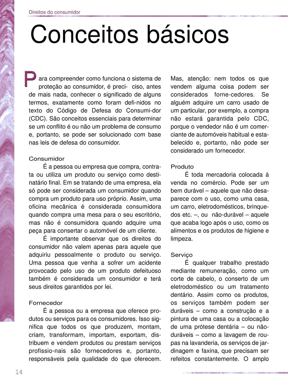 São conceitos essenciais para determinar se um conflito é ou não um problema de consumo e, portanto, se pode ser solucionado com base nas leis de defesa do consumidor.