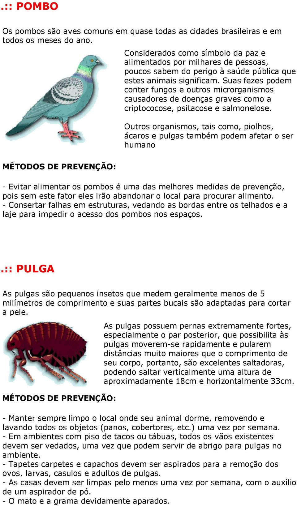 Suas fezes podem conter fungos e outros microrganismos causadores de doenças graves como a criptococose, psitacose e salmonelose.