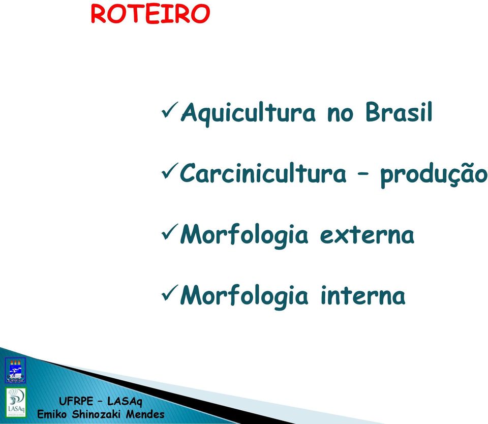 produção Morfologia