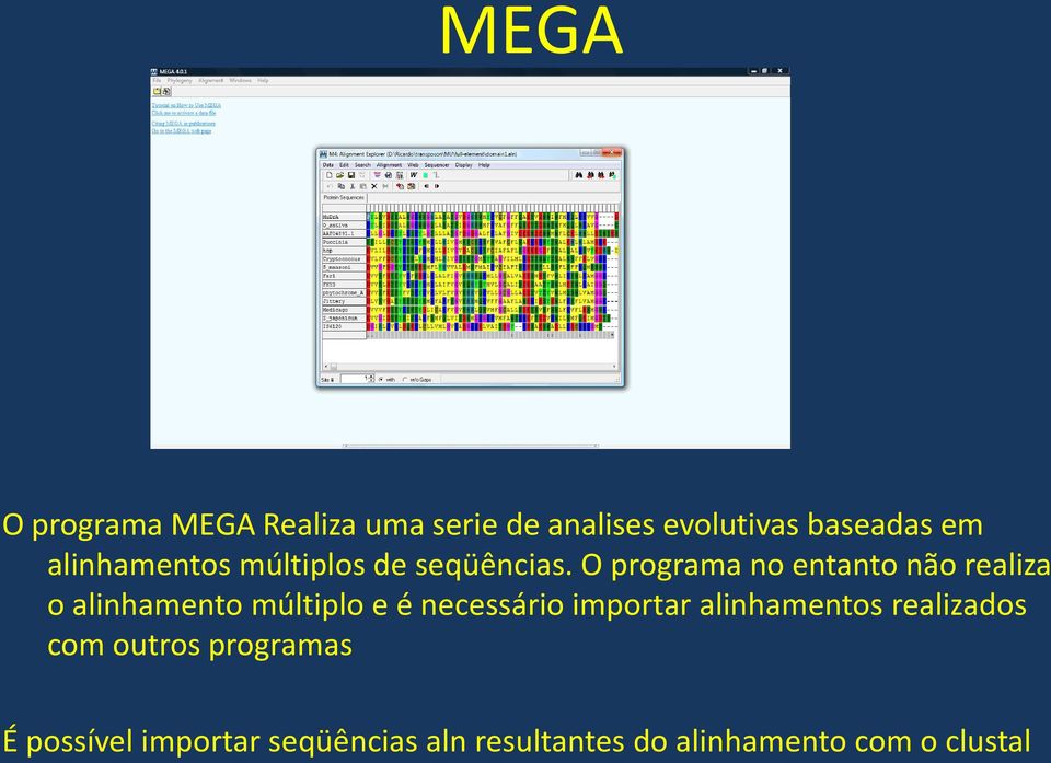 O programa no entanto não realiza o alinhamento múltiplo e é necessário