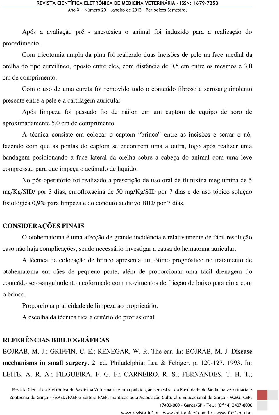 Com o uso de uma cureta foi removido todo o conteúdo fibroso e serosanguinolento presente entre a pele e a cartilagem auricular.