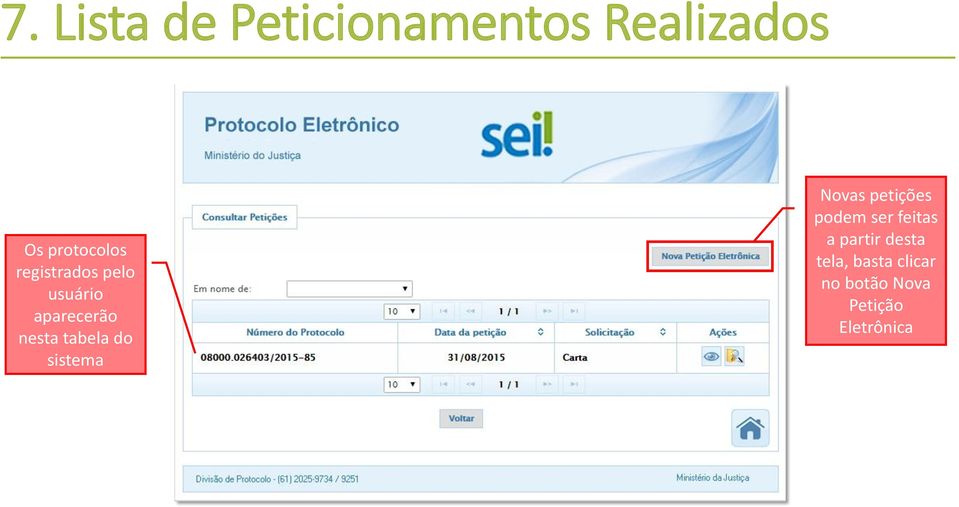 sistema Novas petições podem ser feitas a partir