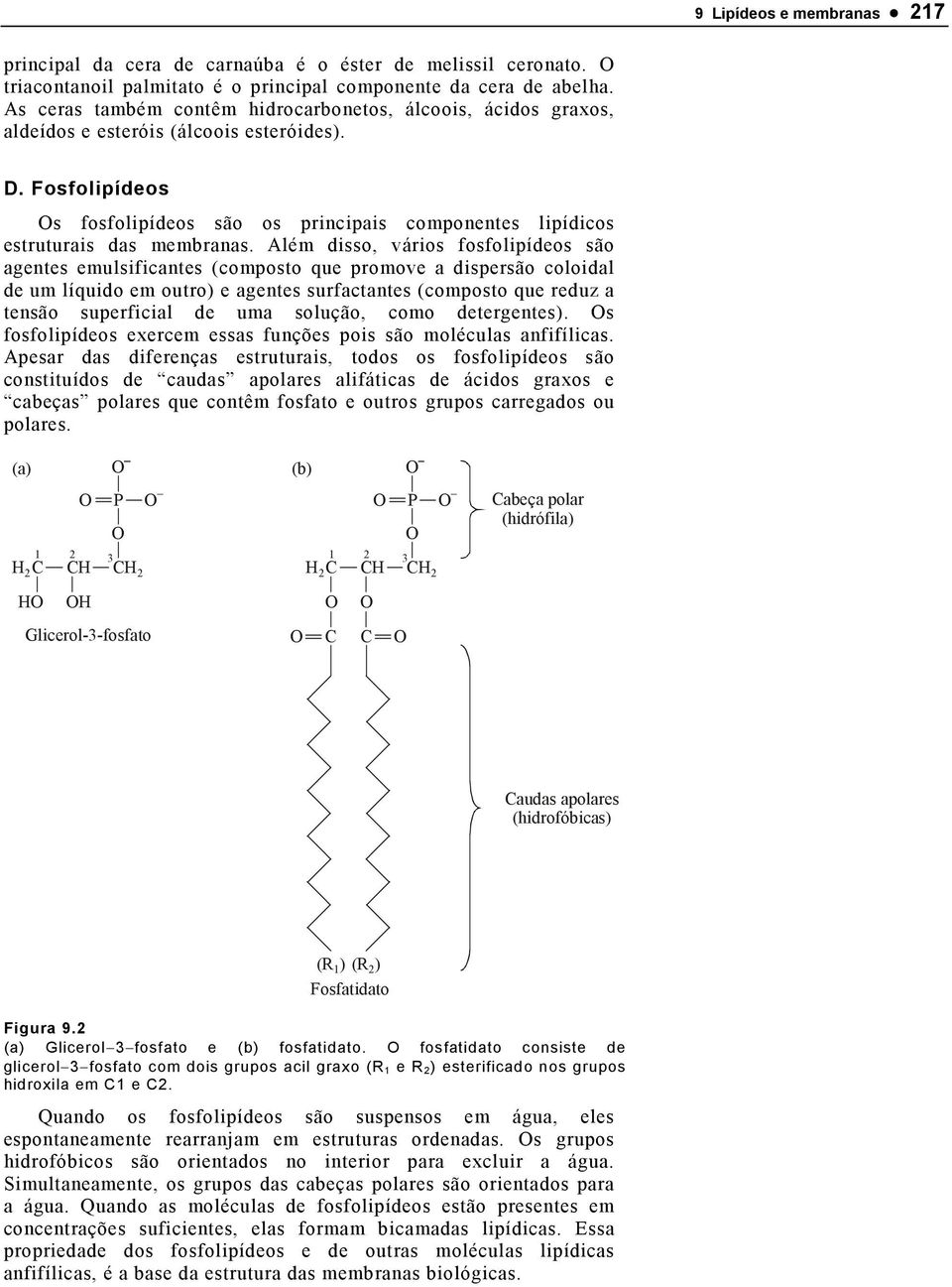 Fosfolipídeos s fosfolipídeos são os principais componentes lipídicos estruturais das membranas.