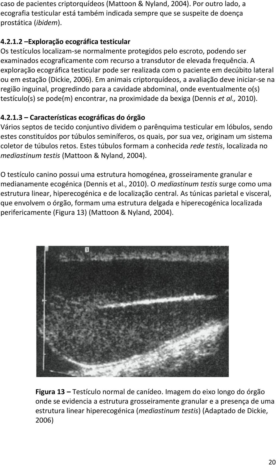 A exploração ecográfica testicular pode ser realizada com o paciente em decúbito lateral ou em estação (Dickie, 2006).