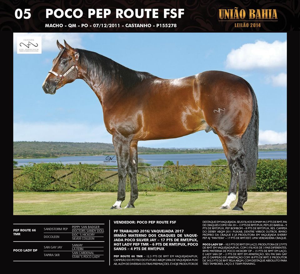 HOT LADY PEP TMR 6 PTS DE RMT/PUX, POCO SANDS 4 PTS DE RMT/PUX PEP ROUTE 66 TMR 12,5 PTS DE RMT EM VAQUEJADA/PUX, CAMPEÃO DO POTRO DO FUTURO ABQM 2006 DE VAQUEJADA PUX/ AB, ALÉM DE DIVERSAS OUTRAS