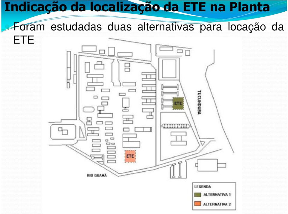 Planta Foram estudadas