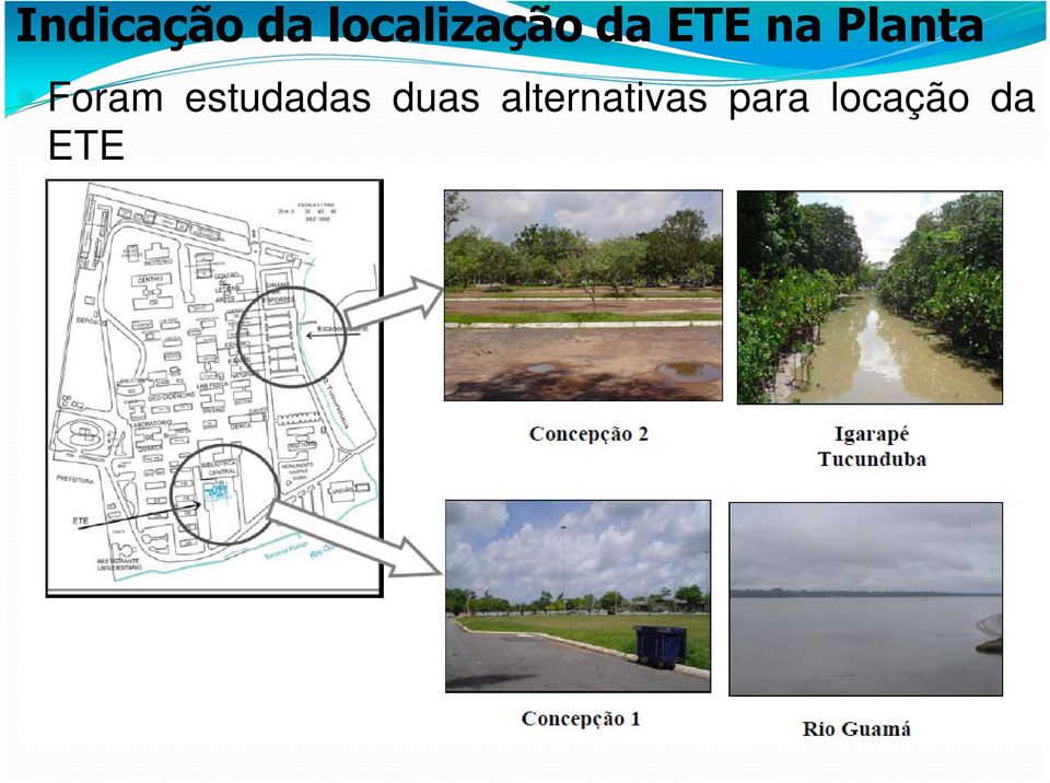 Planta Foram estudadas