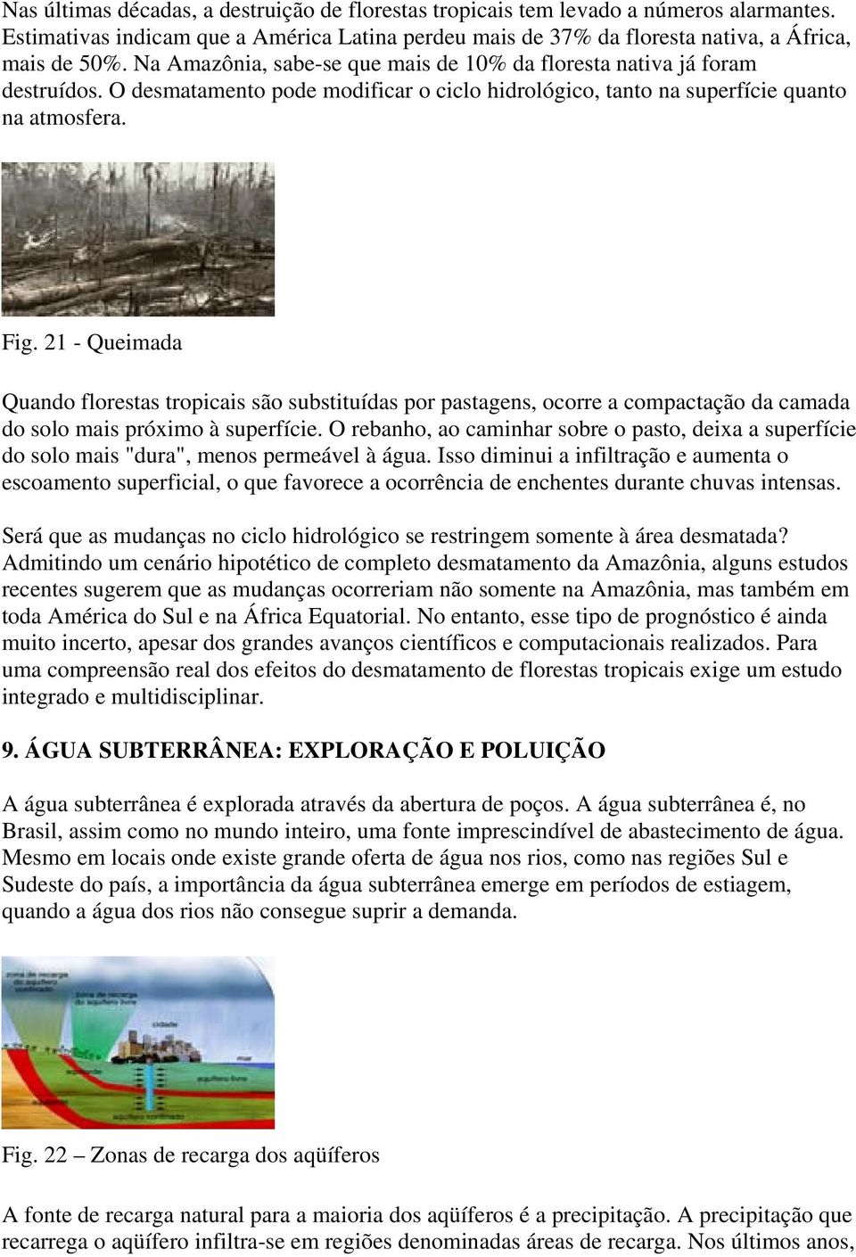 21 - Queimada Quando florestas tropicais são substituídas por pastagens, ocorre a compactação da camada do solo mais próximo à superfície.