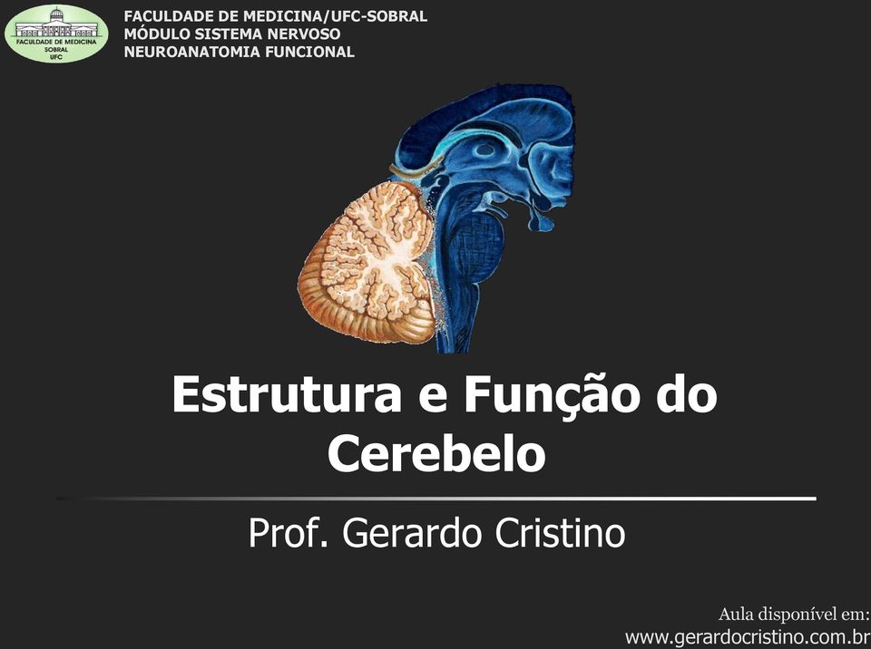 Estrutura e Função do Cerebelo Prof.