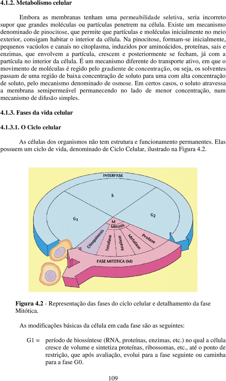 Na pinocitose, formam-se inicialmente, pequenos vacúolos e canais no citoplasma, induzidos por aminoácidos, proteínas, sais e enzimas, que envolvem a partícula, crescem e posteriormente se fecham, já