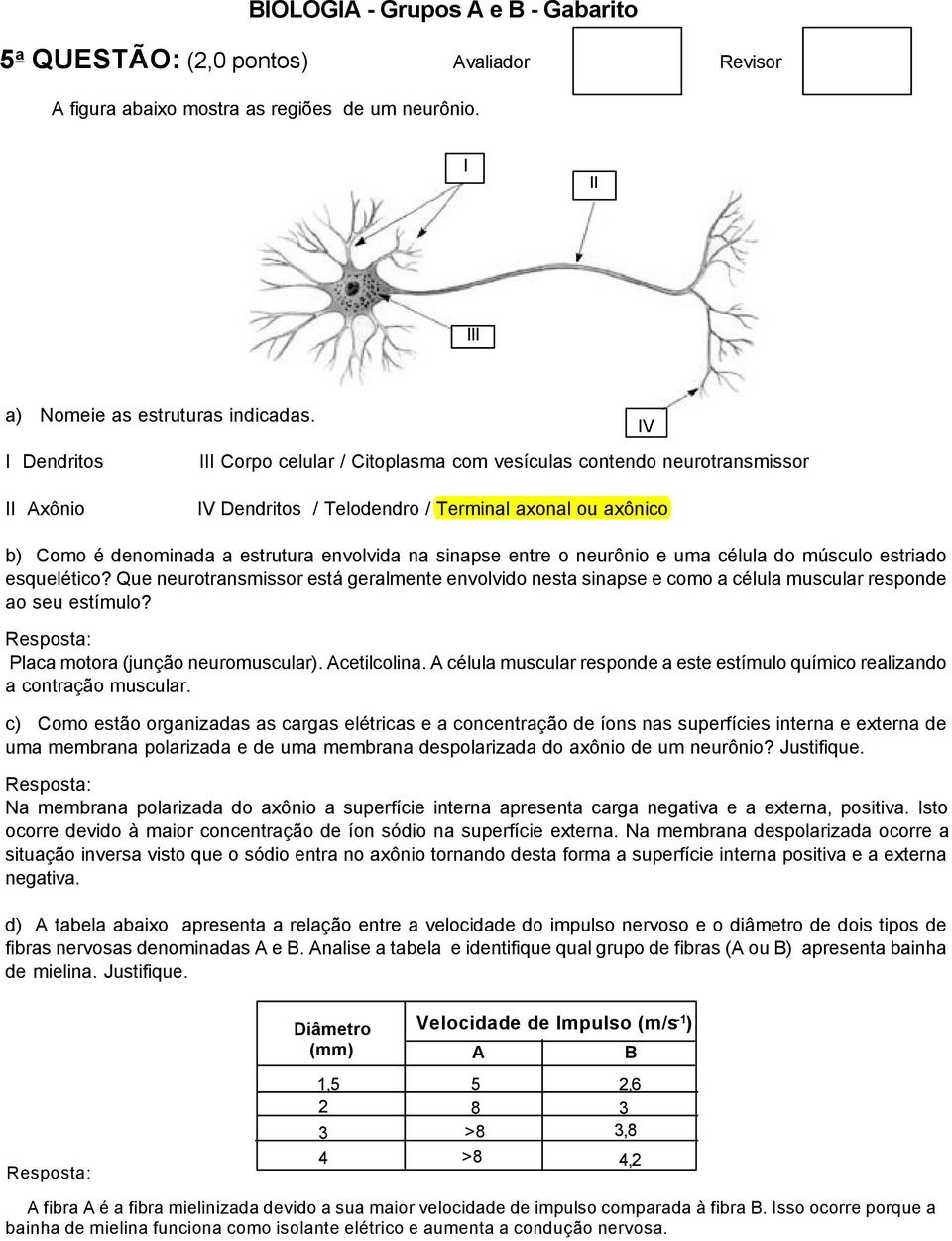 sinapse entre o neurônio e uma célula do músculo estriado esquelético? Que neurotransmissor está geralmente envolvido nesta sinapse e como a célula muscular responde ao seu estímulo?