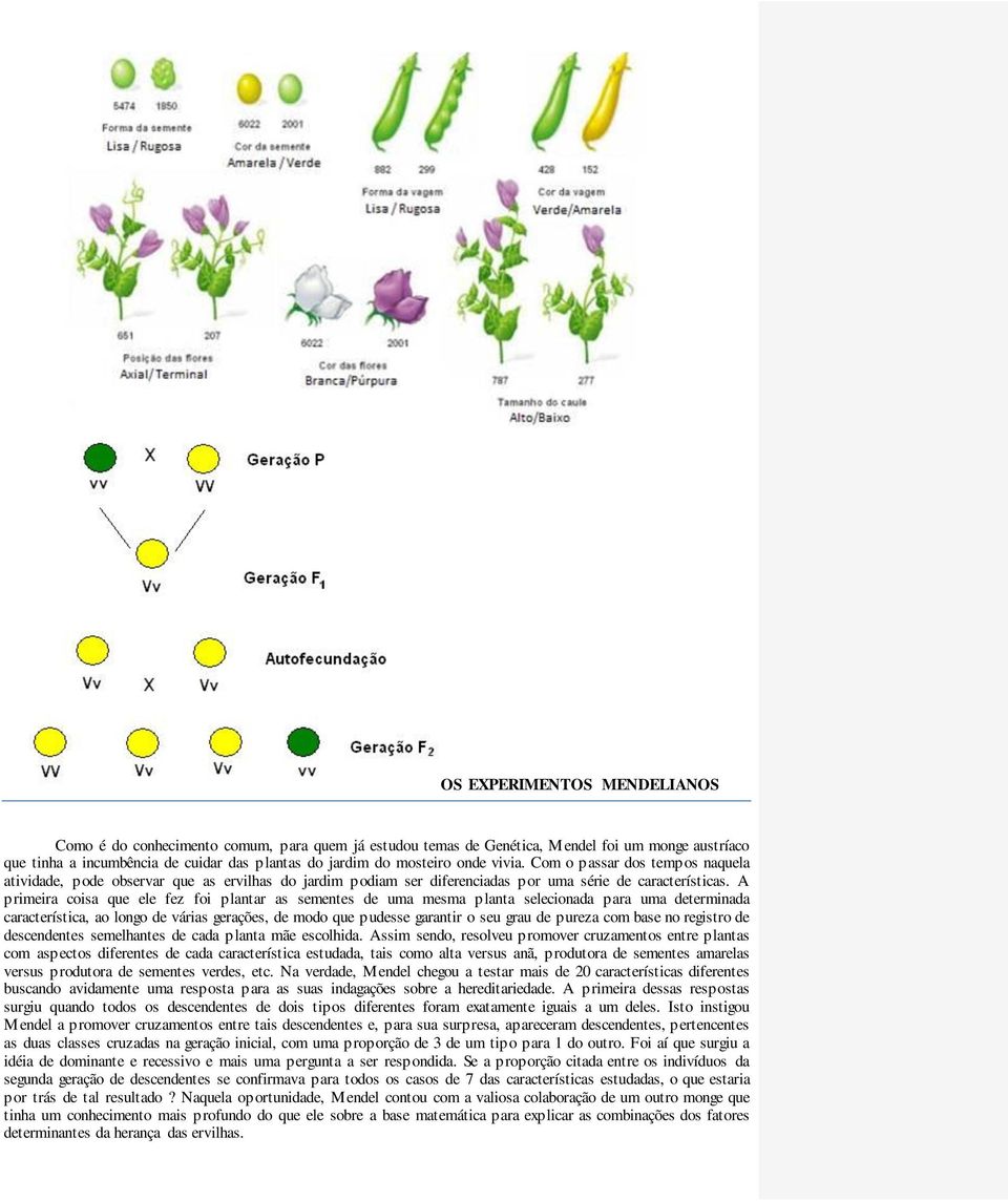 A primeira coisa que ele fez foi plantar as sementes de uma mesma planta selecionada para uma determinada característica, ao longo de várias gerações, de modo que pudesse garantir o seu grau de