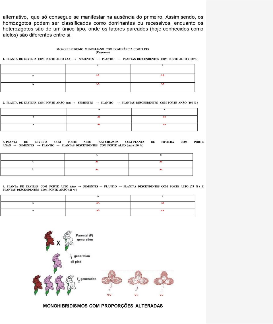 diferentes entre si. MONOHIBRIDISMO MENDELIANO COM DOMINÂNCIA COMPLETA (Esquemas) 1.
