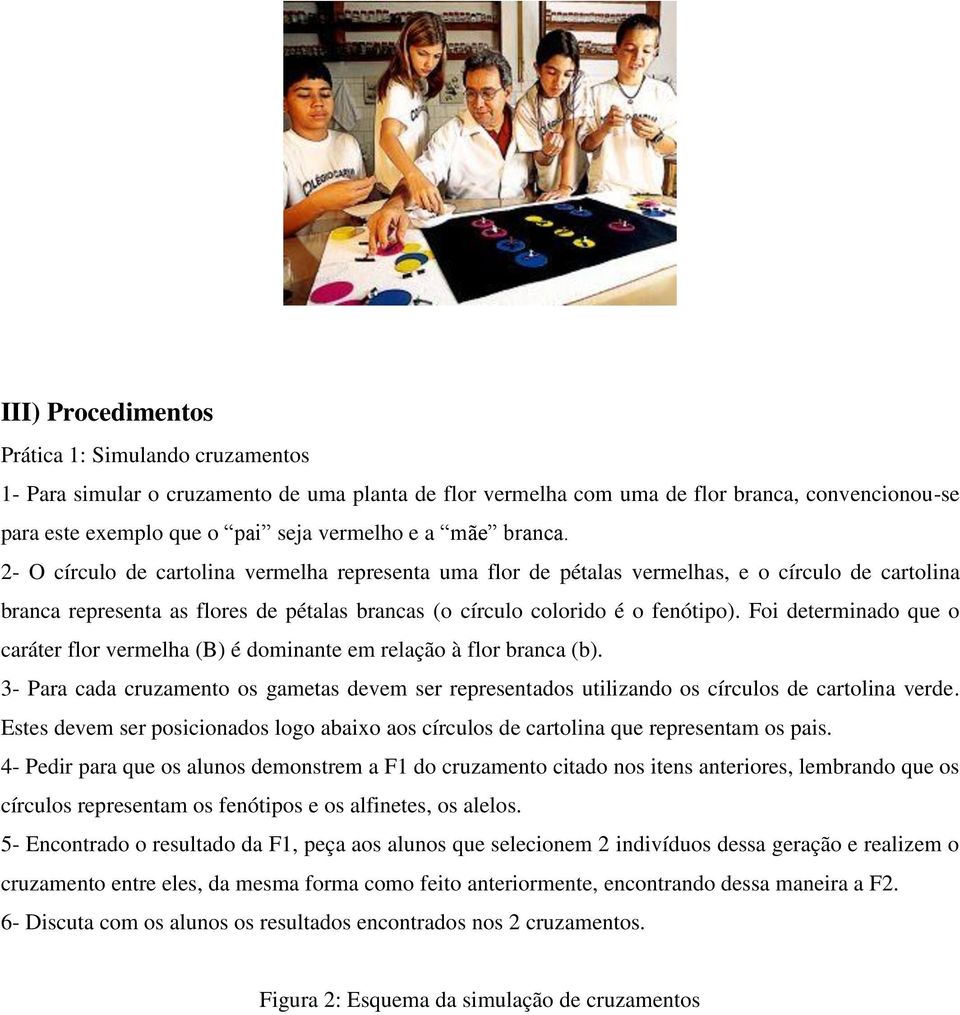 Foi determinado que o caráter flor vermelha (B) é dominante em relação à flor branca (b). 3- Para cada cruzamento os gametas devem ser representados utilizando os círculos de cartolina verde.