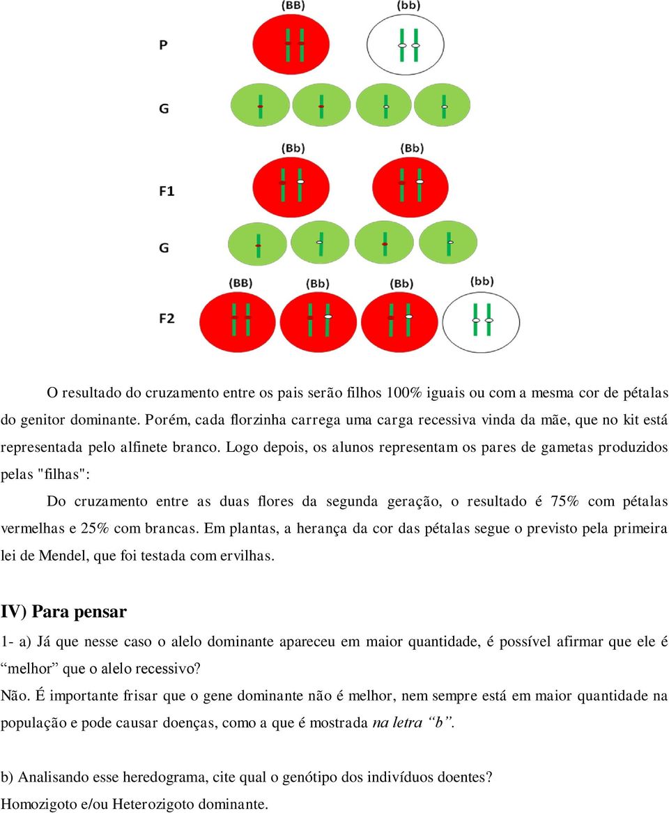 Logo depois, os alunos representam os pares de gametas produzidos pelas "filhas": Do cruzamento entre as duas flores da segunda geração, o resultado é 75% com pétalas vermelhas e 25% com brancas.