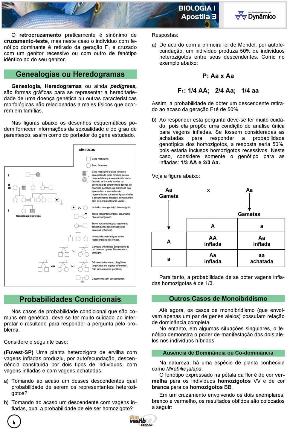 Genealogias ou Heredogramas Genealogia, Heredogramas ou ainda pedigrees, são formas gráficas para se representar a hereditariedade de uma doença genética ou outras características morfológicas não