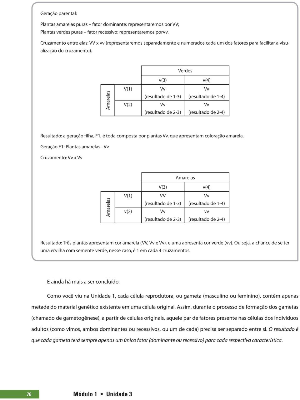 Verdes v(3) v(4) Amarelas V(1) V(2) Vv (resultado de 1-3) Vv (resultado de 2-3) Vv (resultado de 1-4) Vv (resultado de 2-4) Resultado: a geração filha, F1, é toda composta por plantas Vv, que