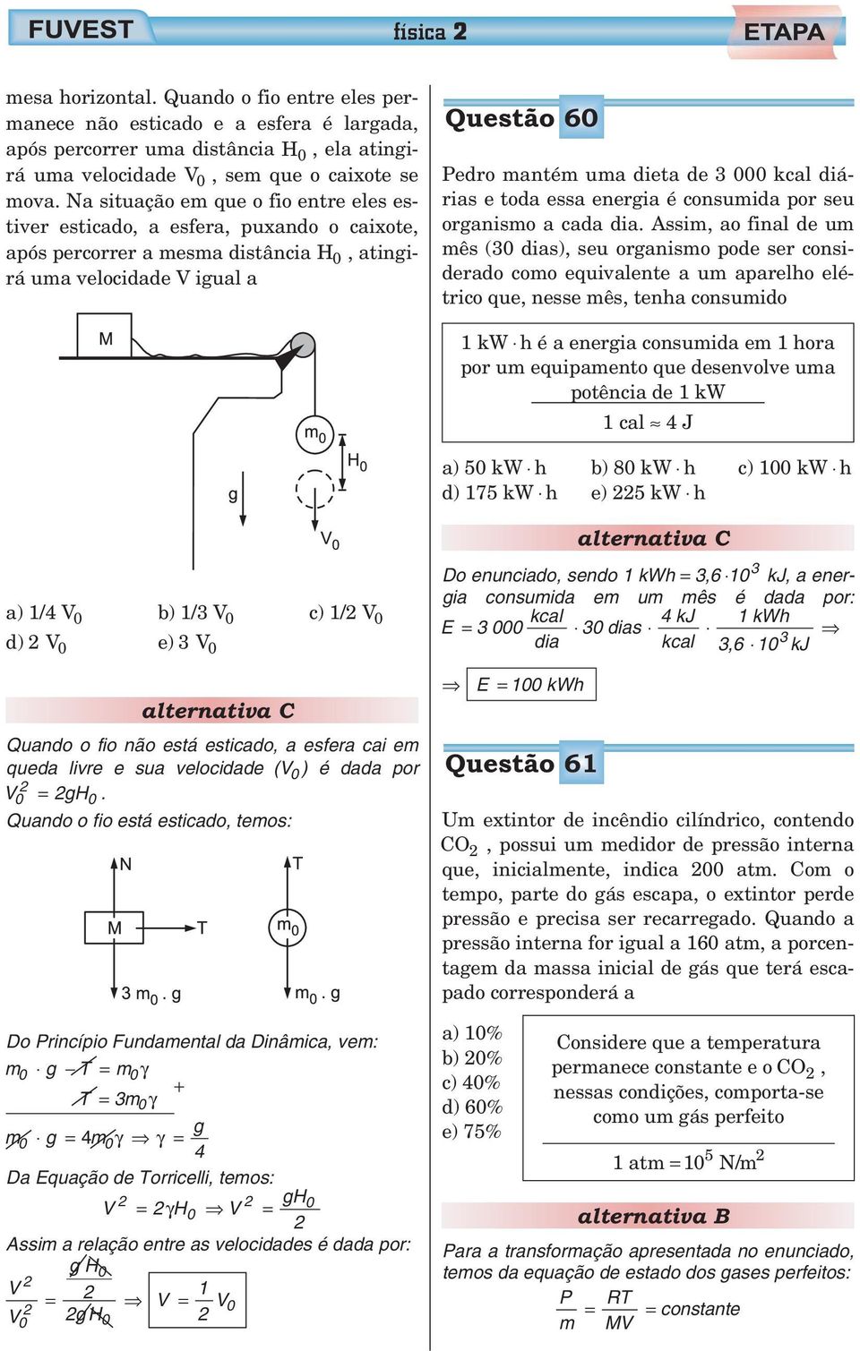 kcal diárias e toda essa energia é consumida por seu organismo a cada dia.