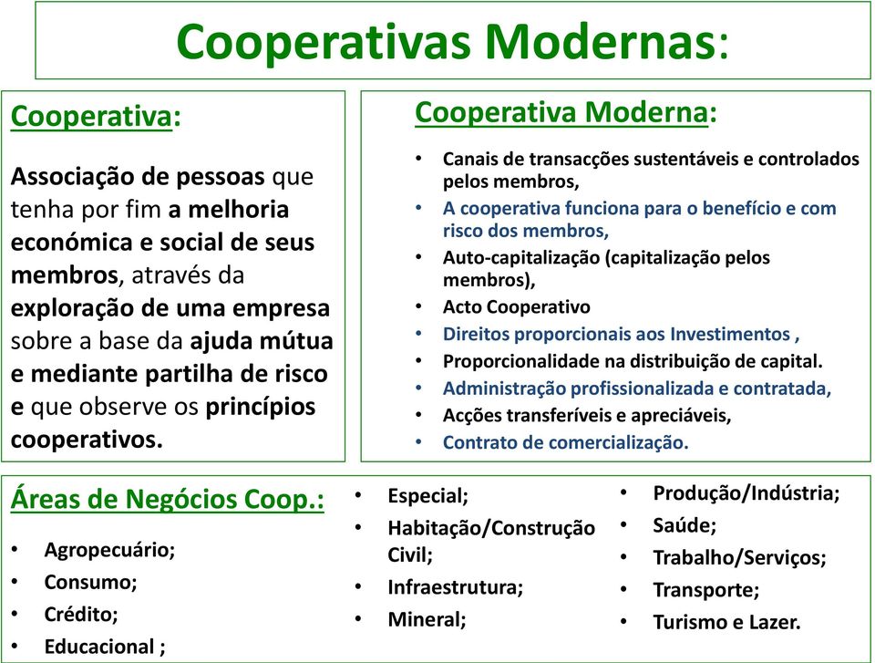 Cooperativa Moderna: Canais de transacções sustentáveis e controlados pelos membros, A cooperativa funciona para o benefício e com risco dos membros, Auto-capitalização (capitalização pelos membros),