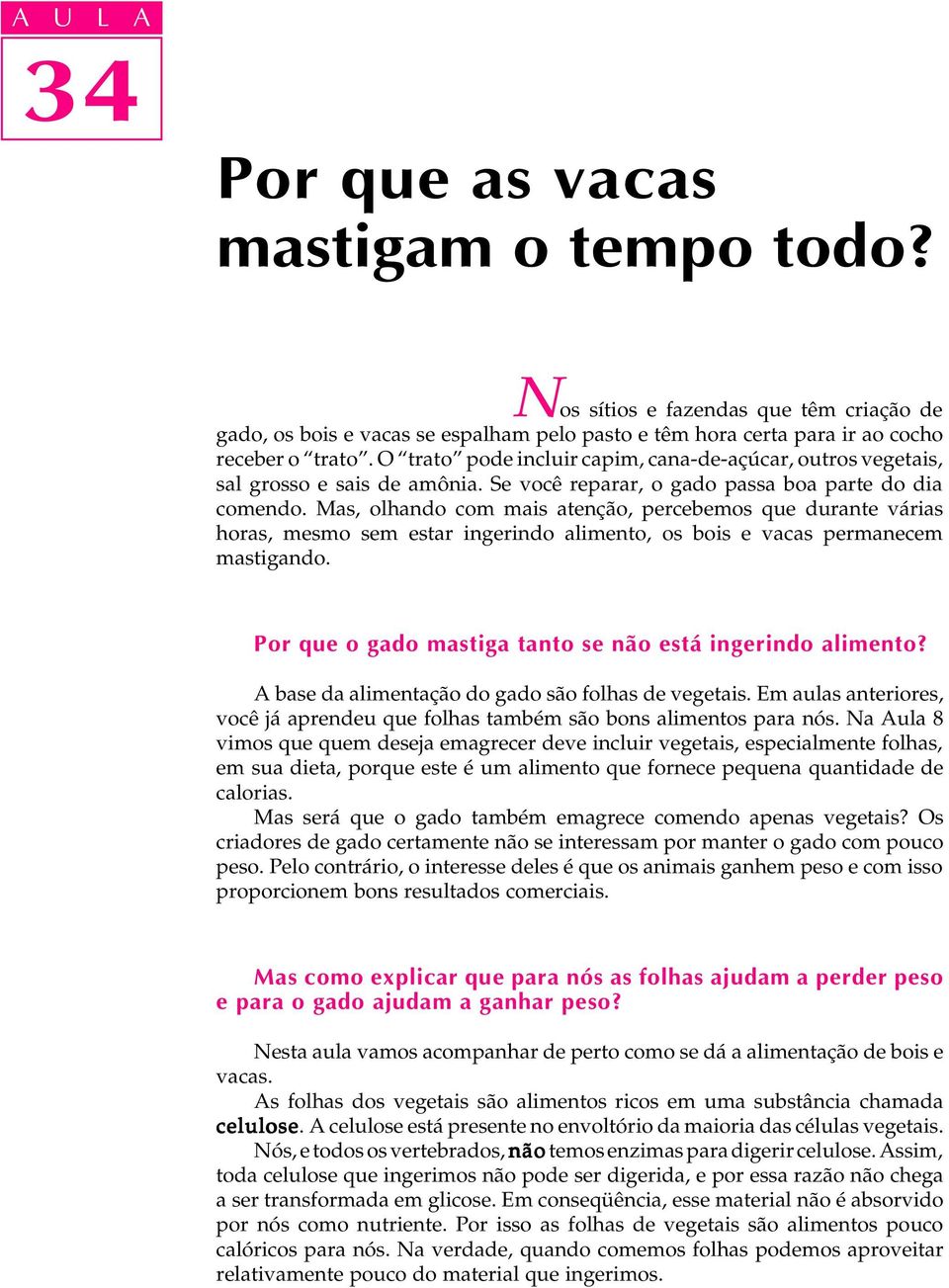 Mas, olhando com mais atenção, percebemos que durante várias horas, mesmo sem estar ingerindo alimento, os bois e vacas permanecem mastigando.