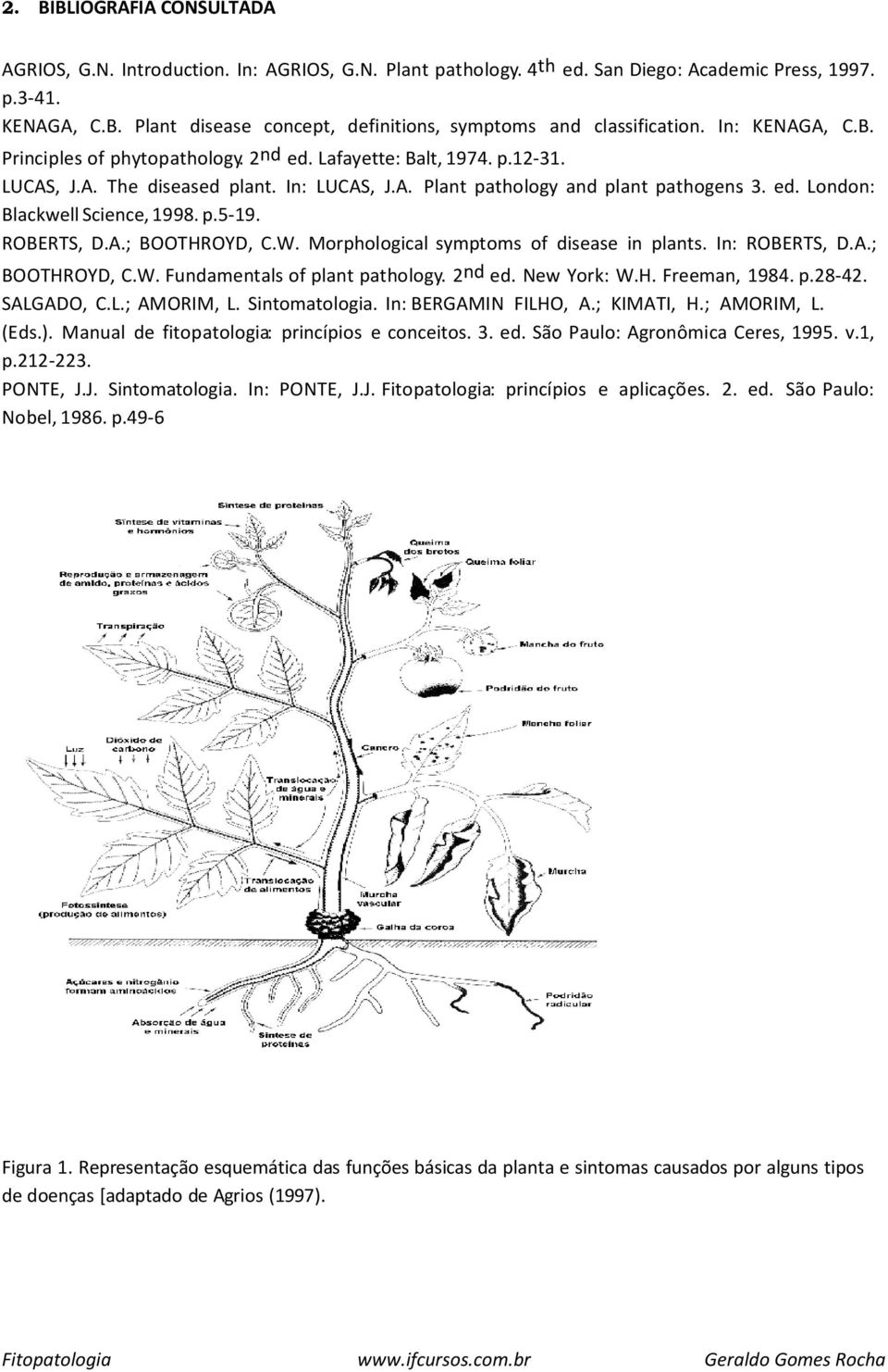 p.5-19. ROBERTS, D.A.; BOOTHROYD, C.W. Morphological symptoms of disease in plants. In: ROBERTS, D.A.; BOOTHROYD, C.W. Fundamentals of plant pathology. 2nd ed. New York: W.H. Freeman, 1984. p.28-42.