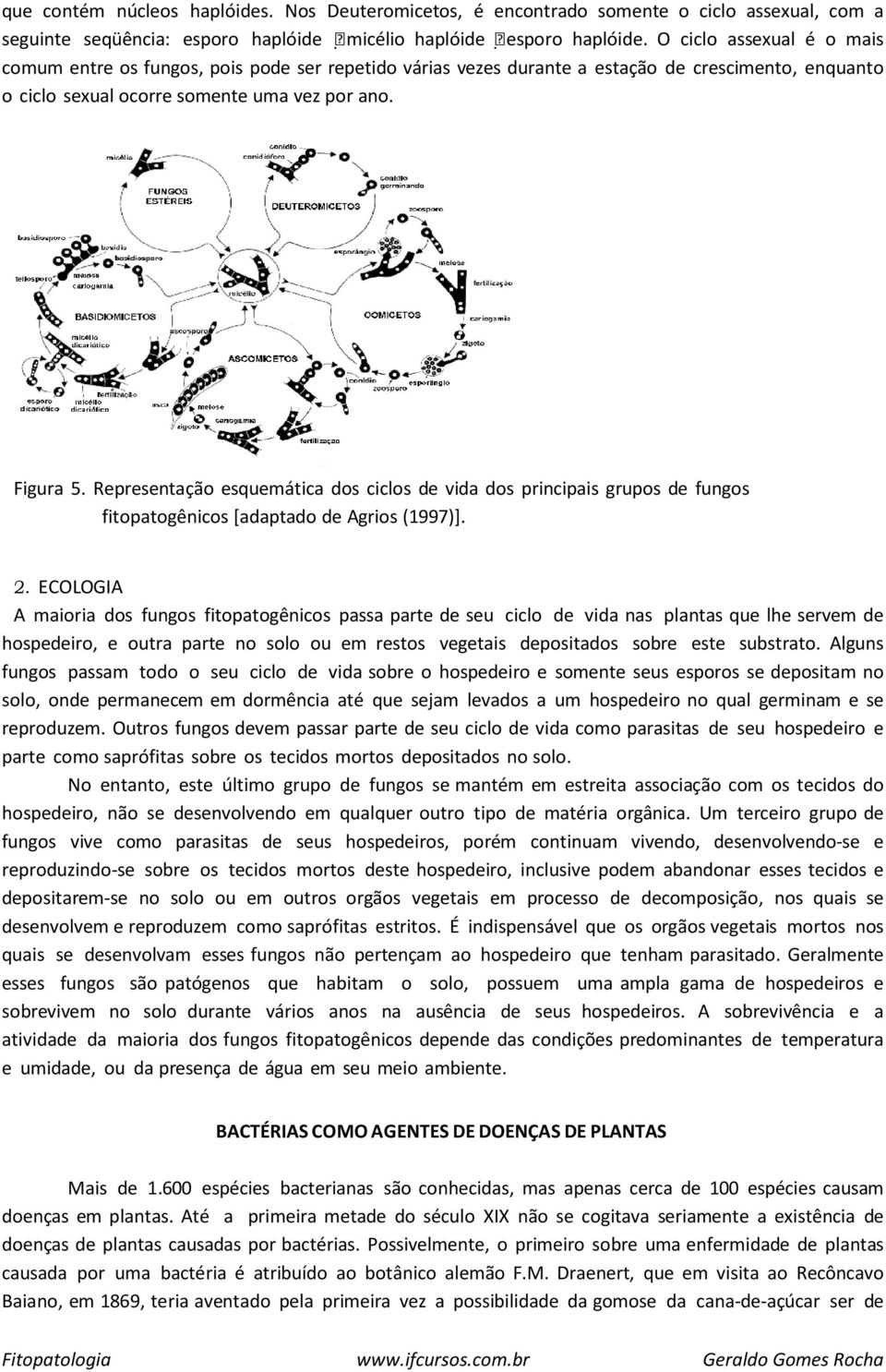 Representação esquemática dos ciclos de vida dos principais grupos de fungos fitopatogênicos [adaptado de Agrios (1997)]. 2.