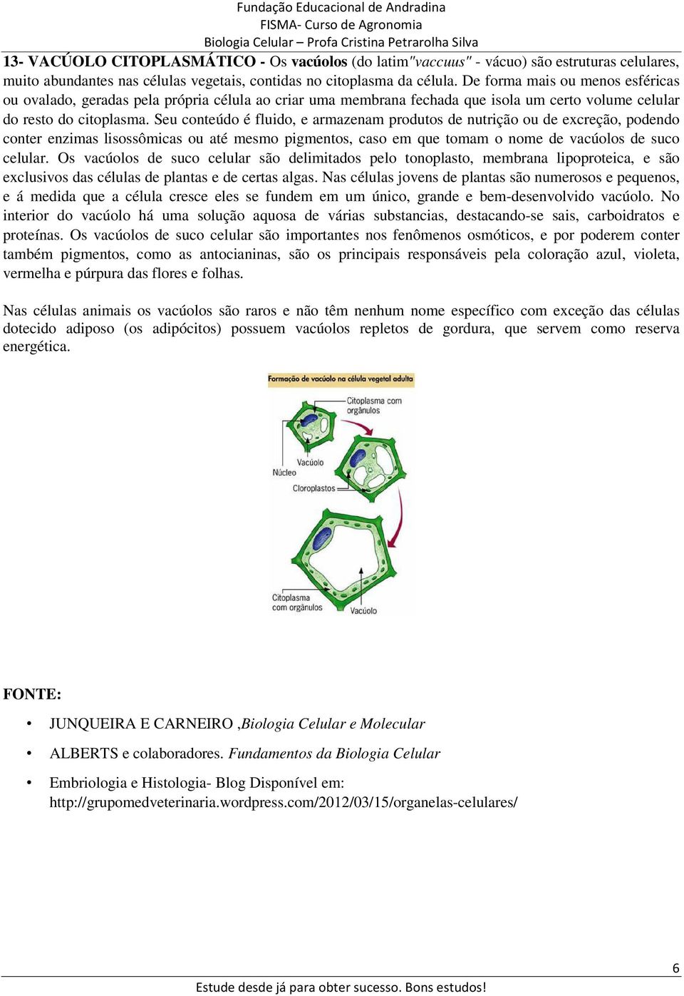 Seu conteúdo é fluido, e armazenam produtos de nutrição ou de excreção, podendo conter enzimas lisossômicas ou até mesmo pigmentos, caso em que tomam o nome de vacúolos de suco celular.