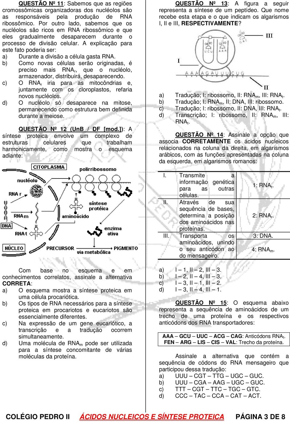 A explicação para este fato poderia ser: a) Durante a divisão a célula gasta RNA. b) Como novas células serão originadas, é preciso mais RNA r, que o nucléolo, armazenador, distribuirá, desaparecendo.