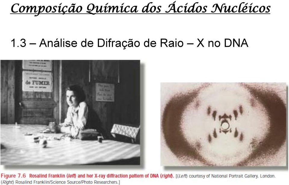 Nucléicos 1.