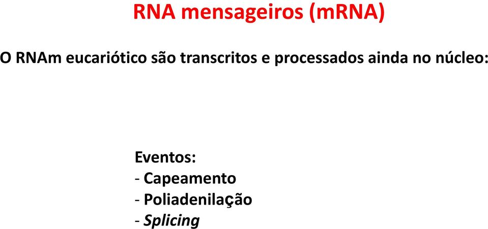 processados ainda no núcleo: