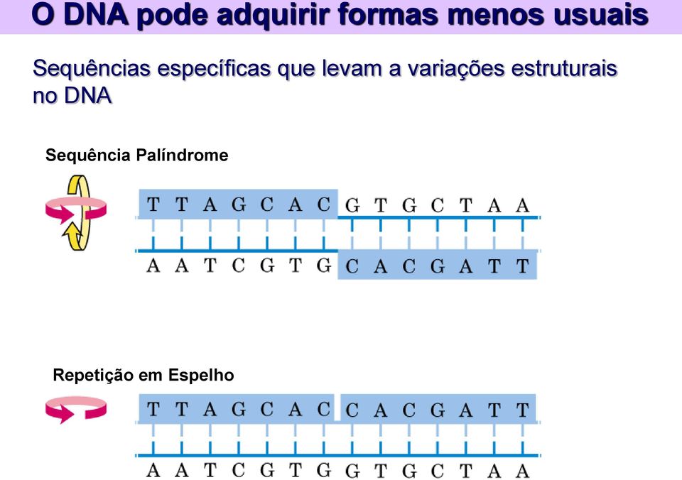 levam a variações estruturais no DNA