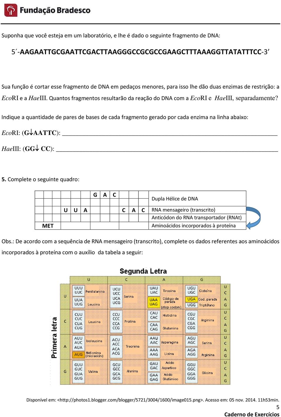 Indique a quantidade de pares de bases de cada fragmento gerado por cada enzima na linha abaixo: EcoRI: (G AATTC): HaeIII: (GG CC): 5.