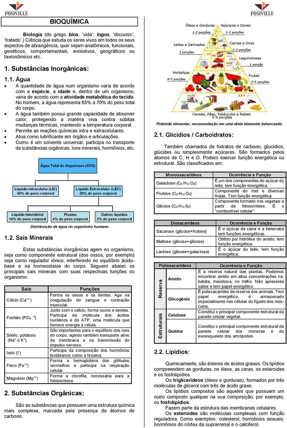 Substâncias Inorgânicas: 1.1. Água A quantidade de água num organismo varia de acordo com a espécie, a idade e, dentro de um organismo, varia de acordo com a atividade metabólica do tecido.