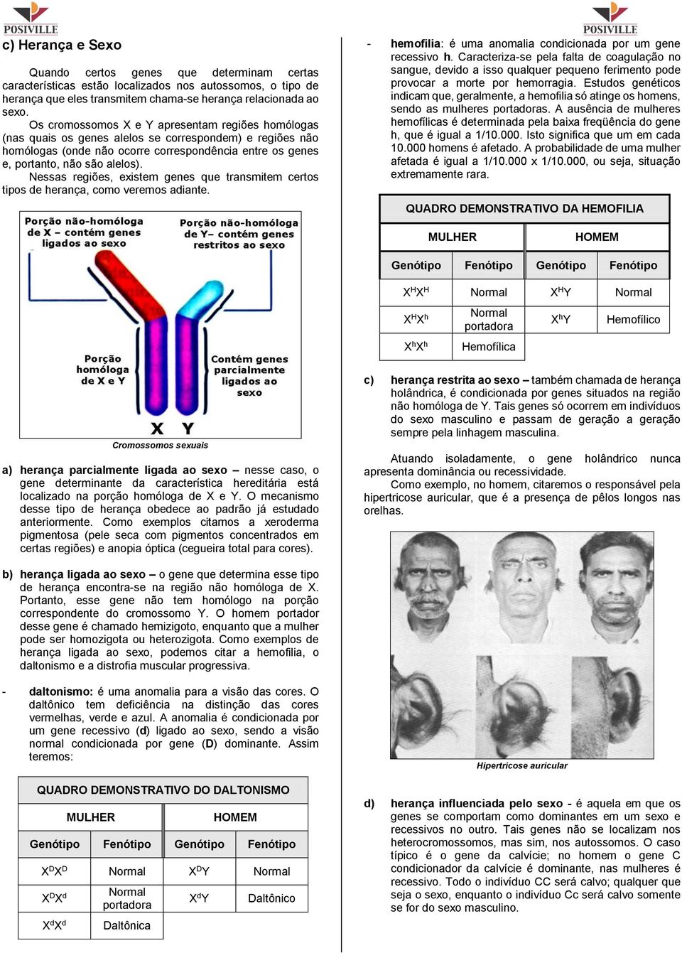 Nessas regiões, existem genes que transmitem certos tipos de herança, como veremos adiante. - hemofilia: é uma anomalia condicionada por um gene recessivo h.