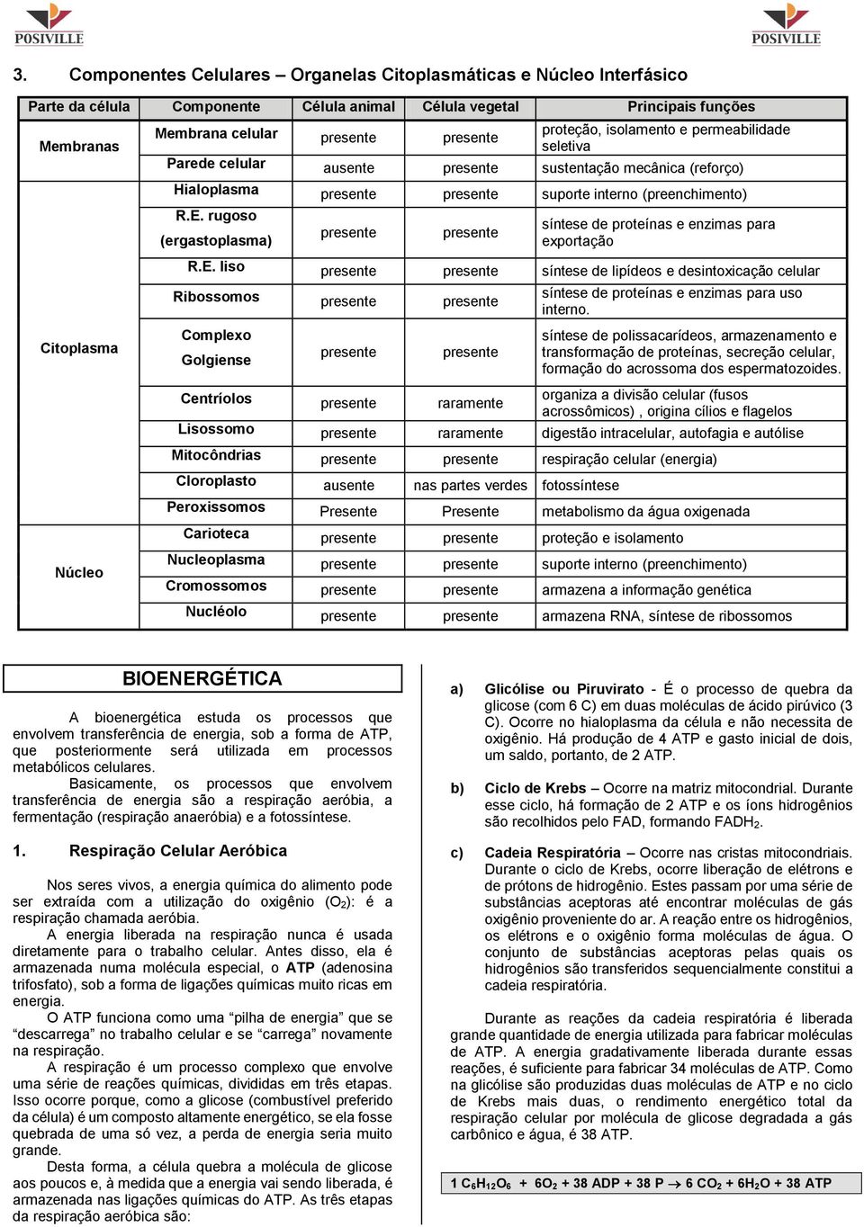 rugoso (ergastoplasma) presente presente síntese de proteínas e enzimas para exportação Citoplasma R.E.