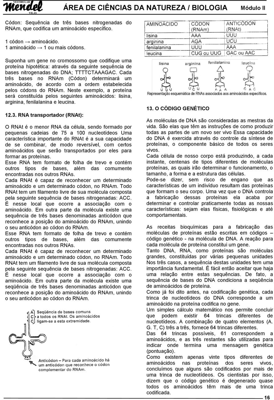 Cada três bases no RNAm (Códon) determinará um aminoácido, de acordo com a ordem estabelecida pelos códons do RNAm.