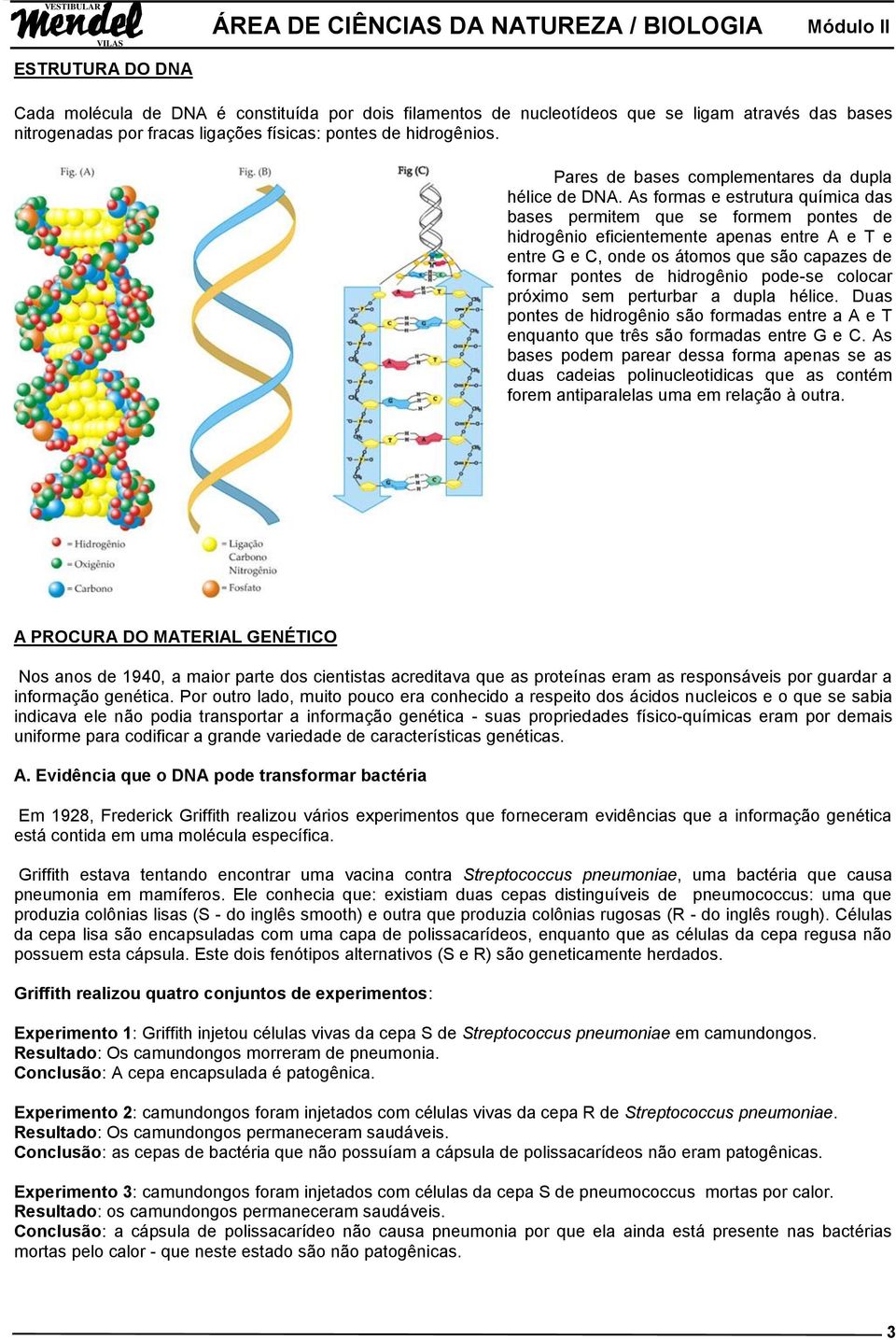 As formas e estrutura química das bases permitem que se formem pontes de hidrogênio eficientemente apenas entre A e T e entre G e C, onde os átomos que são capazes de formar pontes de hidrogênio