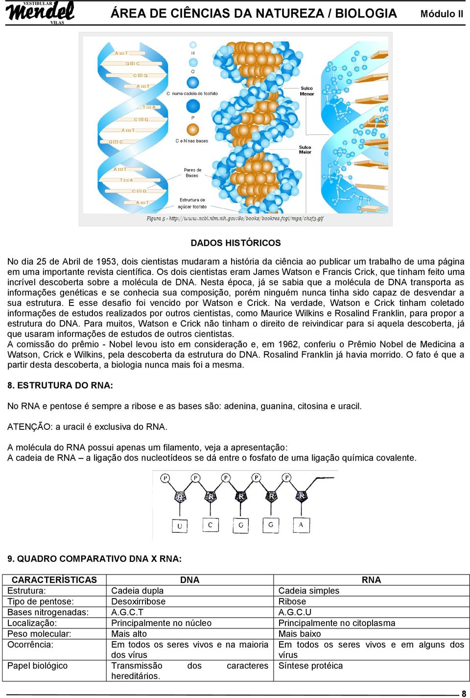 Nesta época, já se sabia que a molécula de DNA transporta as informações genéticas e se conhecia sua composição, porém ninguém nunca tinha sido capaz de desvendar a sua estrutura.