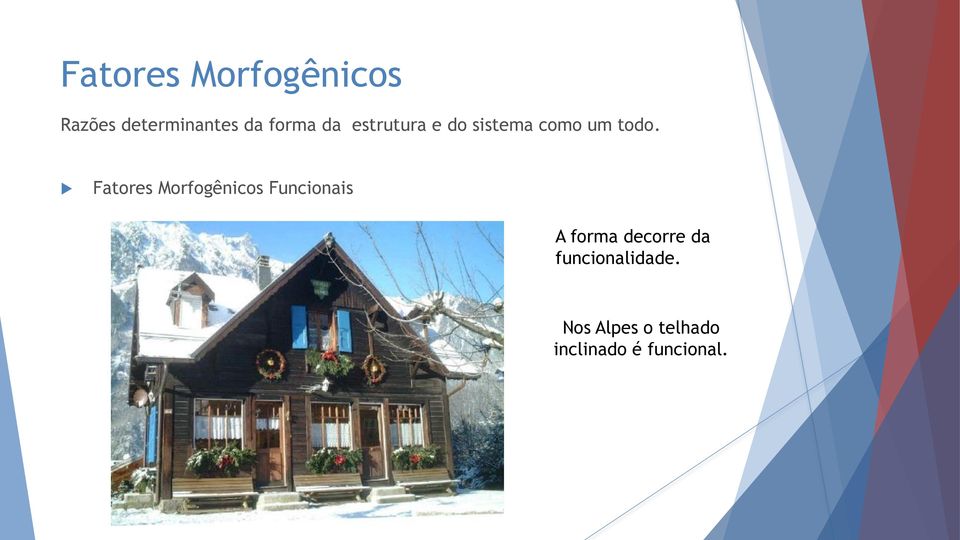 Fatores Morfogênicos Funcionais A forma decorre