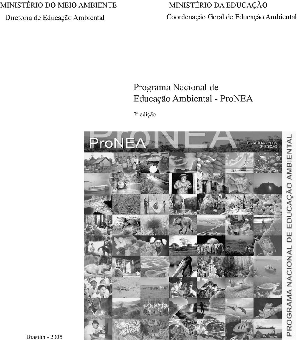 Geral de Educação Ambiental Programa Nacional de