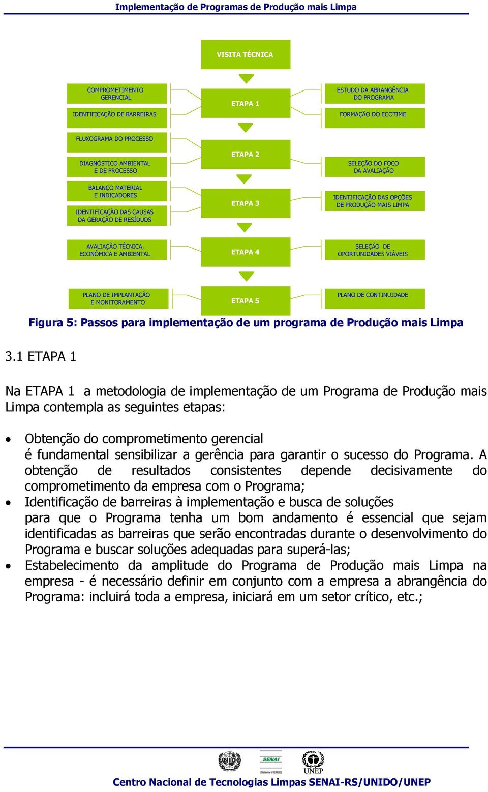 AMBIENTAL ETAPA 4 SELEÇÃO DE OPORTUNIDADES VIÁVEIS PLANO DE IMPLANTAÇÃO E MONITORAMENTO ETAPA 5 PLANO DE CONTINUIDADE Figura 5: Passos para implementação de um programa de Produção mais Limpa 3.