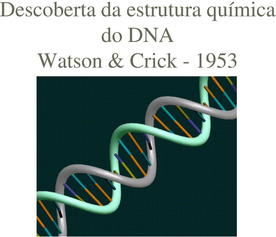 química do DNA