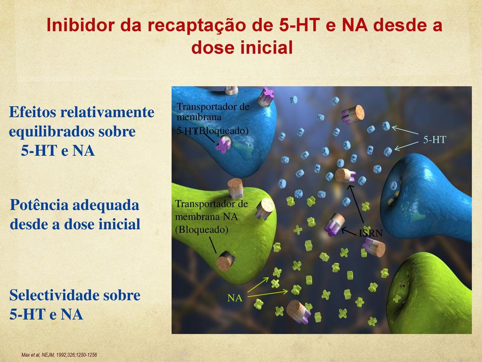 -HT(Bloqueado) 5-HT Potência adequada desde a dose inicial Transportador de