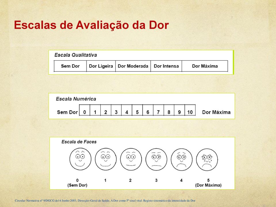 Direcção-Geral de Saúde, A Dor como 5º