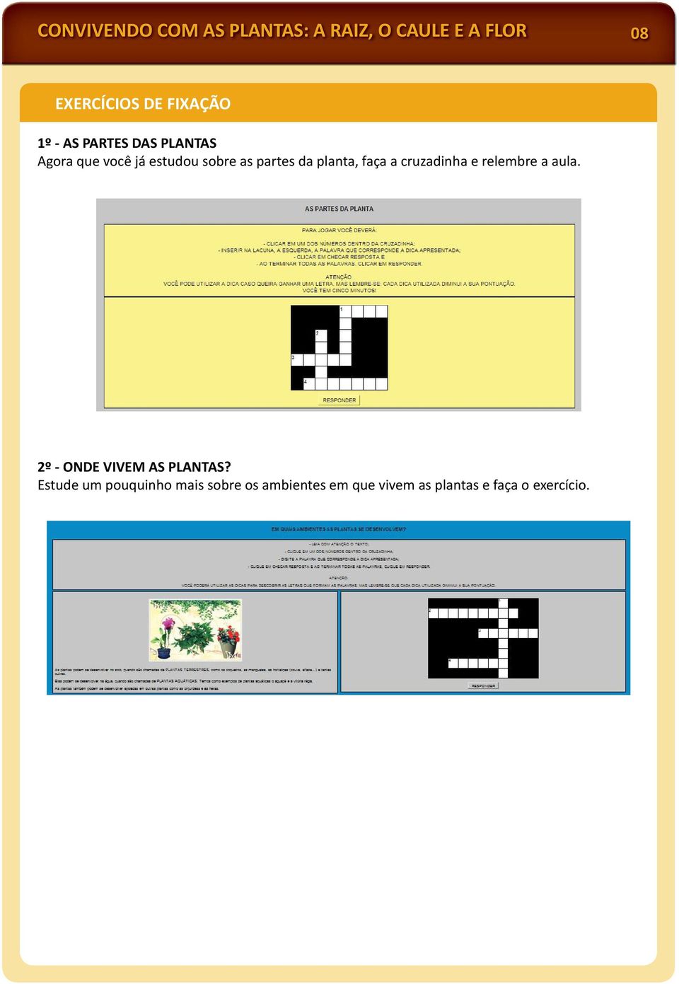 planta, faça a cruzadinha e relembre a aula. 2º - ONDE VIVEM AS PLANTAS?