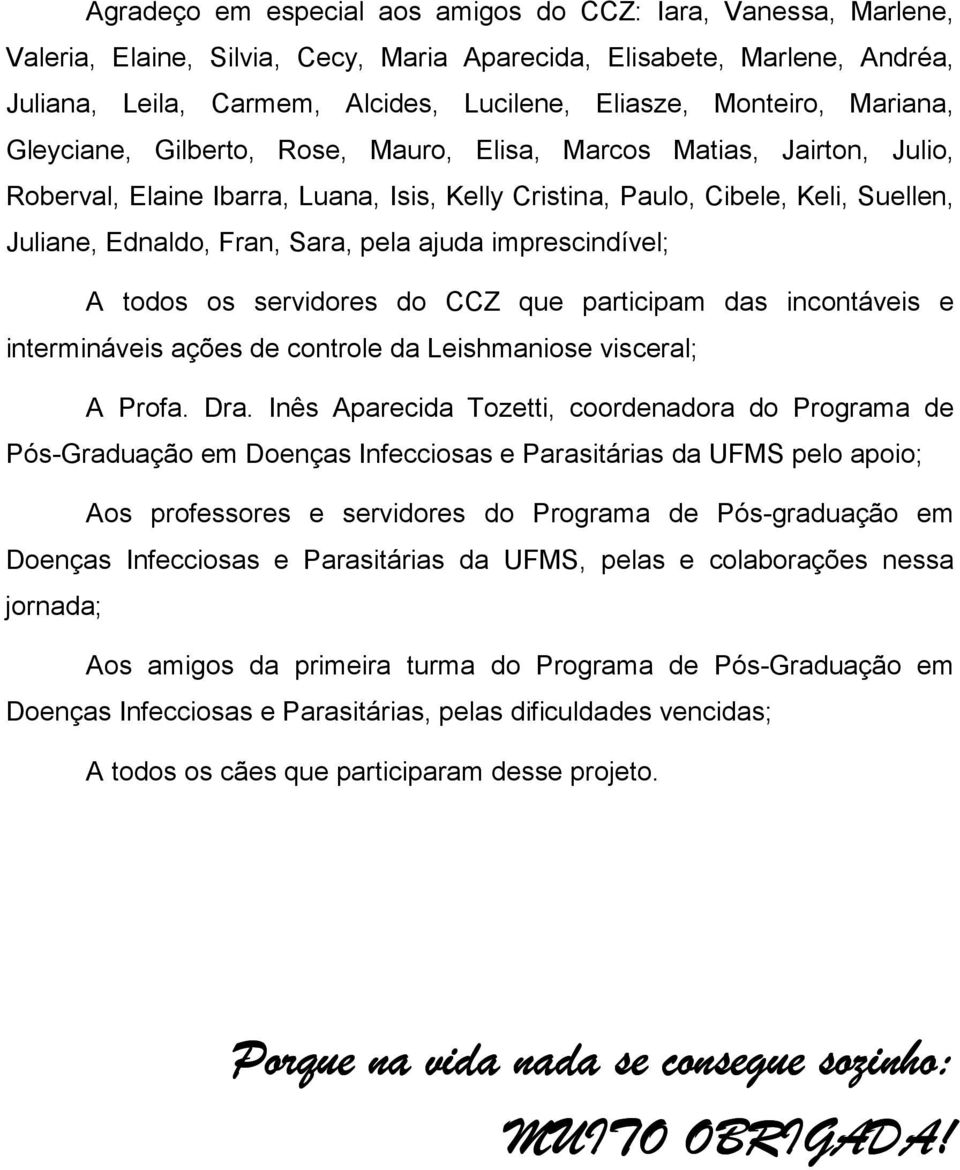 Sara, pela ajuda imprescindível; A todos os servidores do CCZ que participam das incontáveis e intermináveis ações de controle da Leishmaniose visceral; A Profa. Dra.