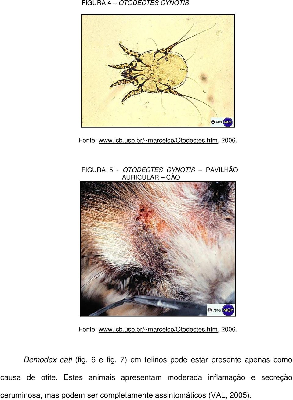 htm, 2006. Demodex cati (fig. 6 e fig. 7) em felinos pode estar presente apenas como causa de otite.