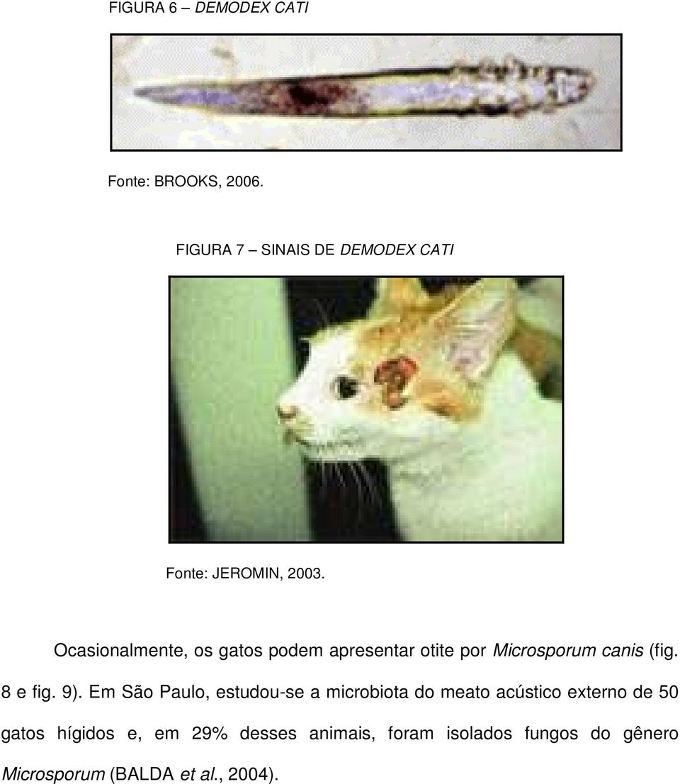 Ocasionalmente, os gatos podem apresentar otite por Microsporum canis (fig. 8 e fig. 9).